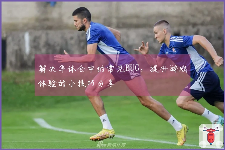 解决华体会中的常见BUG，提升游戏体验的小技巧分享