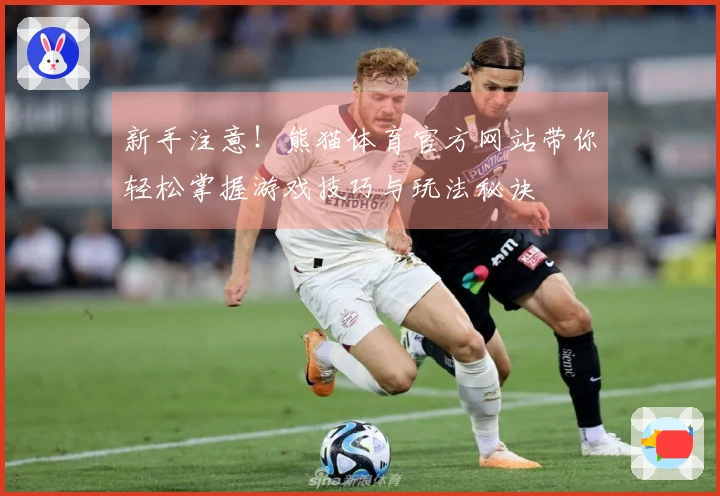 新手注意！熊猫体育官方网站带你轻松掌握游戏技巧与玩法秘诀